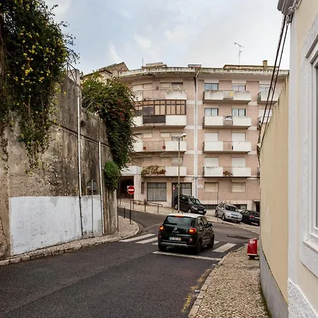 Apartment Altido Brand New Elegant With Terraces In Ajuda *